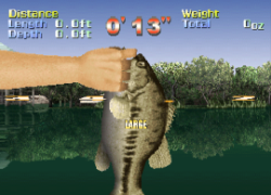Action Bass