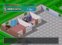 Theme Hospital