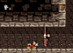 Mickey's Wild Adventure