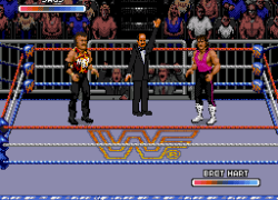 WWF Rage in the Cage