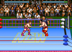 Natsume Championship Wrestling (USA)
