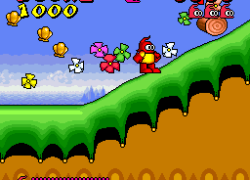 Plok! (Japan)