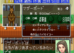 Thoroughbred Breeder III (Japan)
