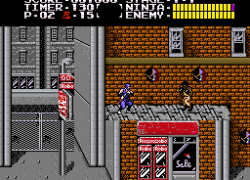 Ninja Ryuukenden Tomoe (Japan)
