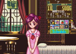 Princess Maker - Legend of Another World (Japan)