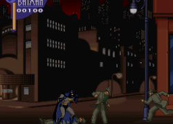 Adventures of Batman & Robin, The (USA)