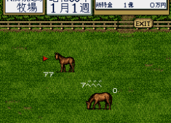 Thoroughbred Breeder II (Japan)
