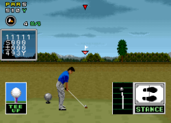 Serizawa Nobuo no Birdie Try (Japan)