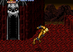 Battletoads in Battlemaniacs (Japan)