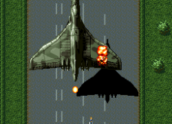 Sonic Wings (Japan)
