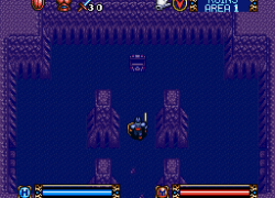 Brandish (Japan)