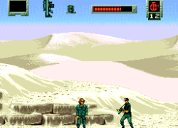 Stargate (Japan)