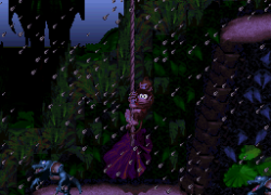 Donkey Kong Country - Expert Edition