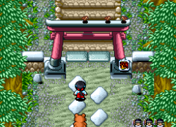 Pocky & Rocky 2 (USA)