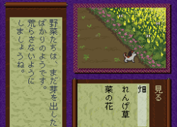 Heisei Shin Onigashima - Zenhen (Japan)
