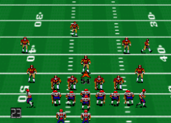 Pro Football '93 (Japan)