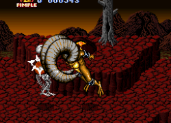 Battletoads in Battlemaniacs (USA)