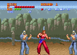 Ultimate Fighter (USA)