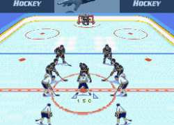 Brett Hull Hockey (USA)