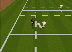 World Class Rugby (Japan)