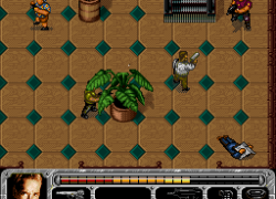 True Lies (Japan)