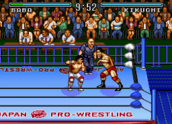 Zen-Nihon Pro Wrestling (Japan)