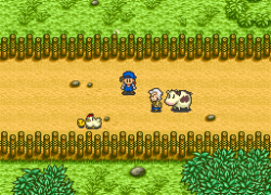 Bokujou Monogatari (Japan) (Rev A)