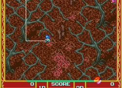 Cacoma Knight in Bizyland (USA)