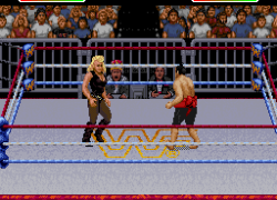WWF Raw (USA)