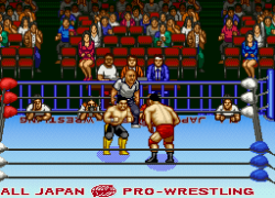 Zen-Nihon Pro Wrestling 2 - 3-4 Budoukan (Japan)