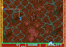 Cacoma Knight (Japan)