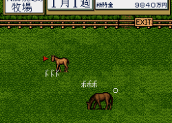 Thoroughbred Breeder (Japan)