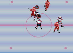 Pro Sport Hockey (USA)