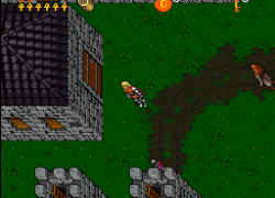 Ultima VII - The Black Gate (USA)