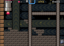 Princess now hero With Super Leaf