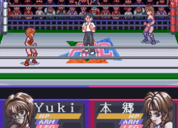Bishoujo Wrestler Retsuden - Blizzard Yuki Rannyuu!! (Japan)