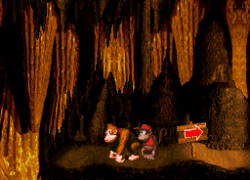 Donkey Kong Country (USA)