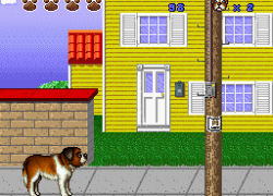 Beethoven's 2nd - The Ultimate Canine Caper! (USA)