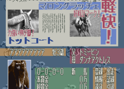 Leading Jockey (Japan)