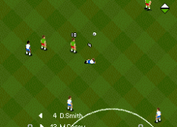World Cup USA '94 (Japan)