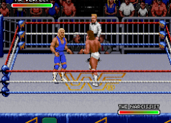 WWF Royal Rumble (USA)