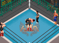 Super Fire Pro Wrestling Special (Japan)
