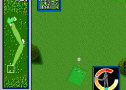 Jumbo Ozaki no Hole in One (Japan)