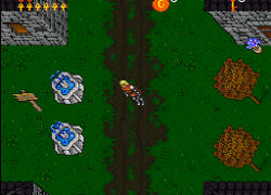 Ultima VII - The Black Gate (USA) (Beta)