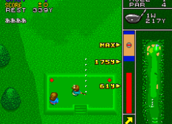 Super Birdie Rush (Japan)