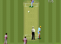 Super International Cricket (Europe) (Beta)