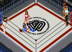 Super Fire Pro Wrestling - Queen's Special (Japan)