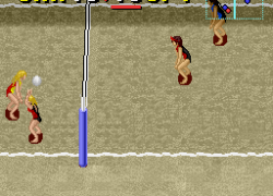 Dig & Spike Volleyball (USA)