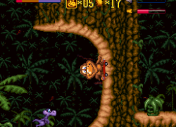 Radical Rex (USA)