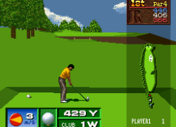 Get in the Hole (Japan)